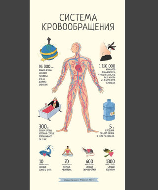 Cartaz da capa do sistema sanguíneo humano