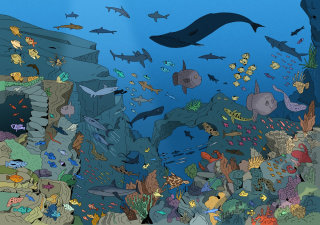 Ilustración bajo el agua del libro &#39;¿Dónde está Attenborough?&#39;