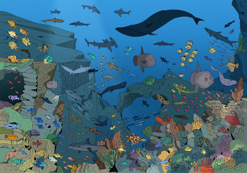 Ilustración bajo el agua del libro &#39;¿Dónde está Attenborough&#39;?