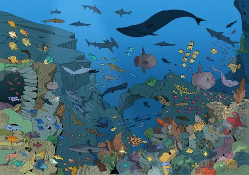 Under the water illustration 'Where's Attenborough' book