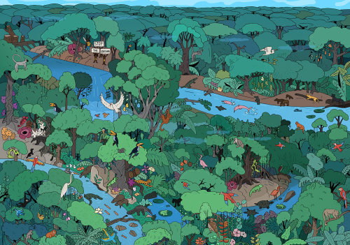 Diseño gráfico de la selva amazónica
