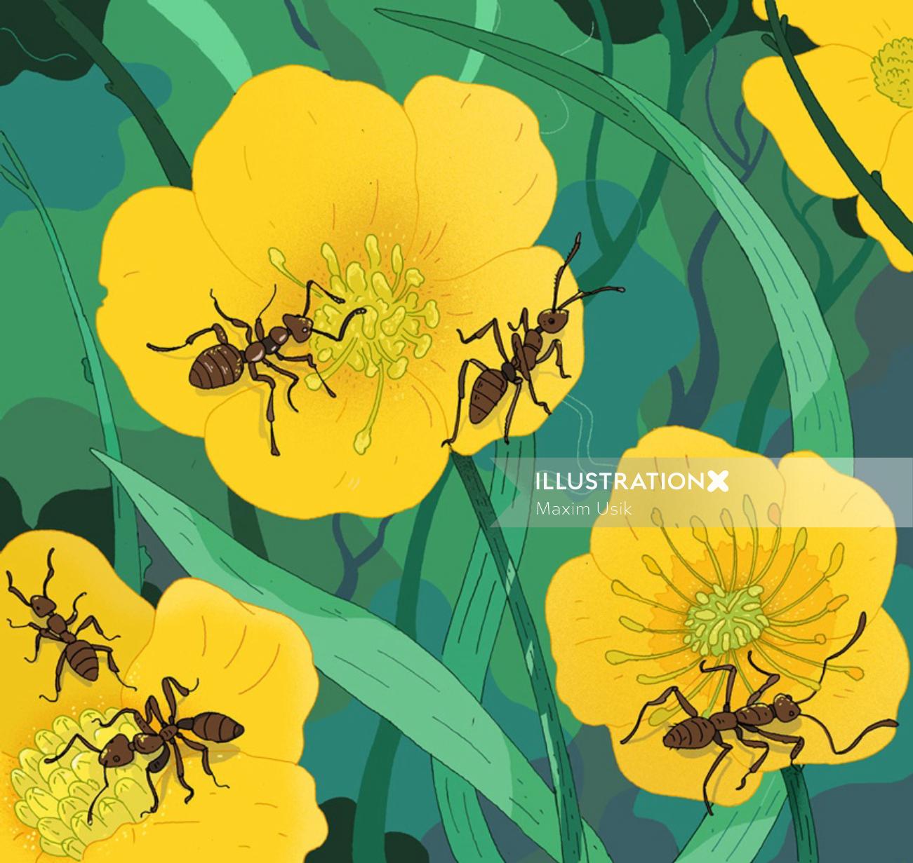 ガーデニング誌の蟻と蜜のイラスト
