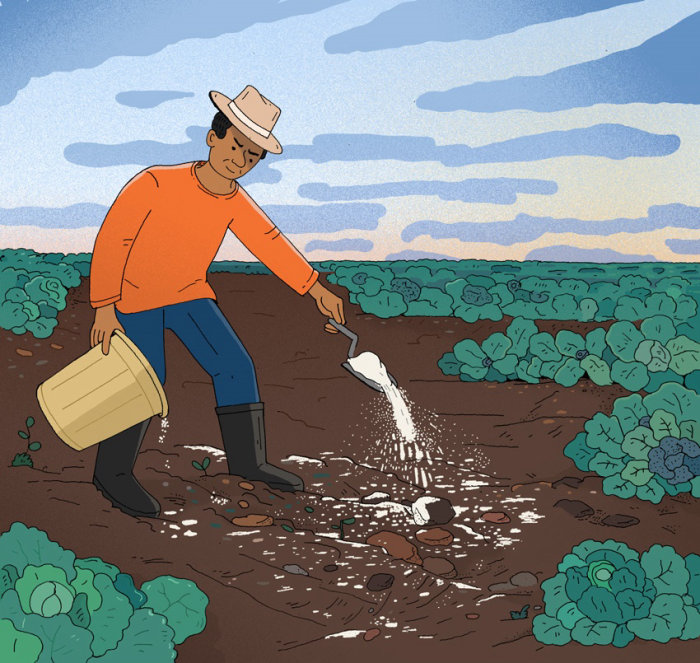 Soil needs lime! - a nature cartoon