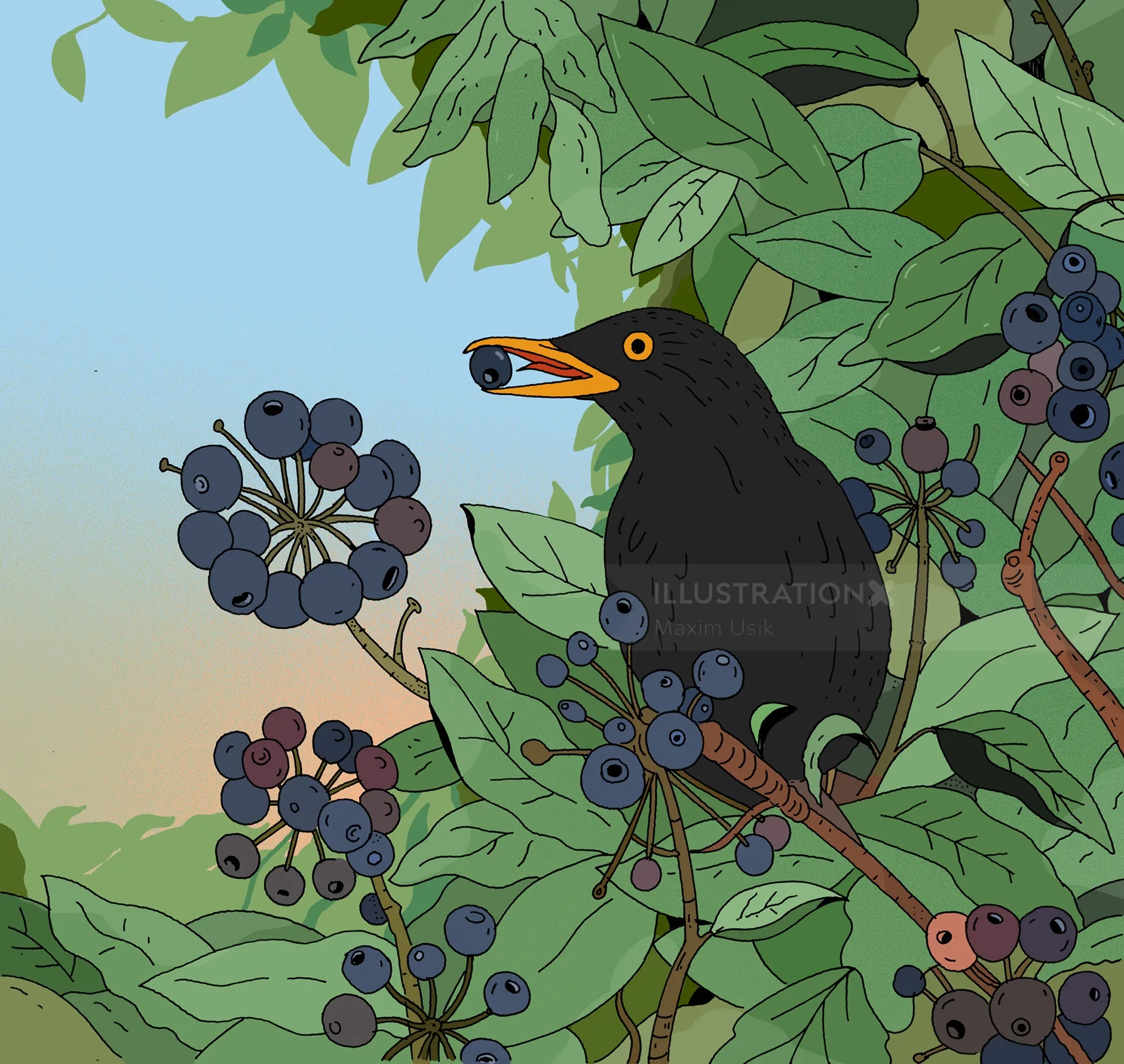Blackbird eating a berry on a leafy branch by Maxim Usik