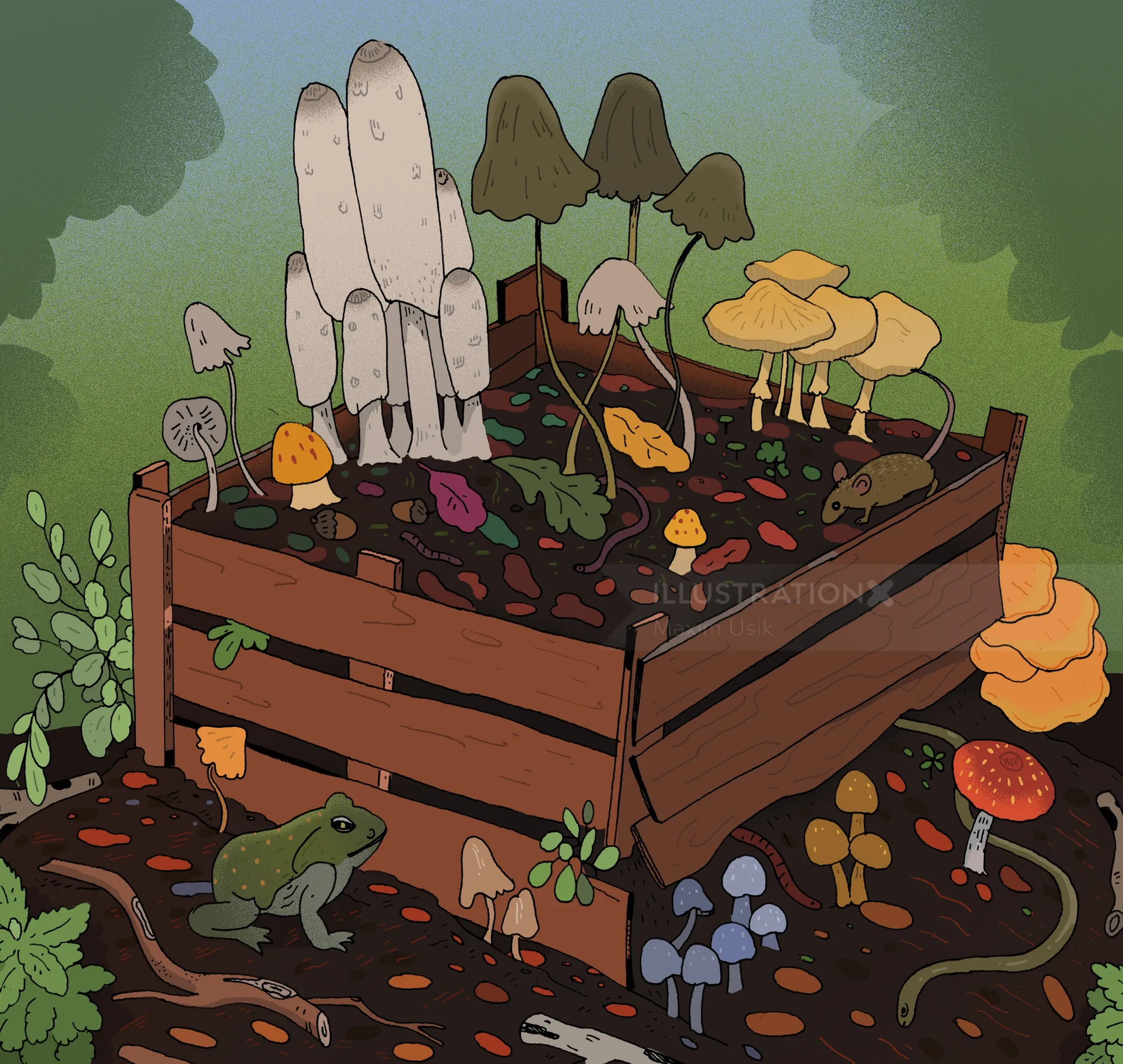 Colorful mushrooms growing in a wooden planter by Maxim Usik