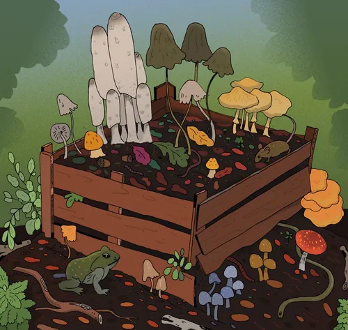 Colorful mushrooms growing in a wooden planter by Maxim Usik