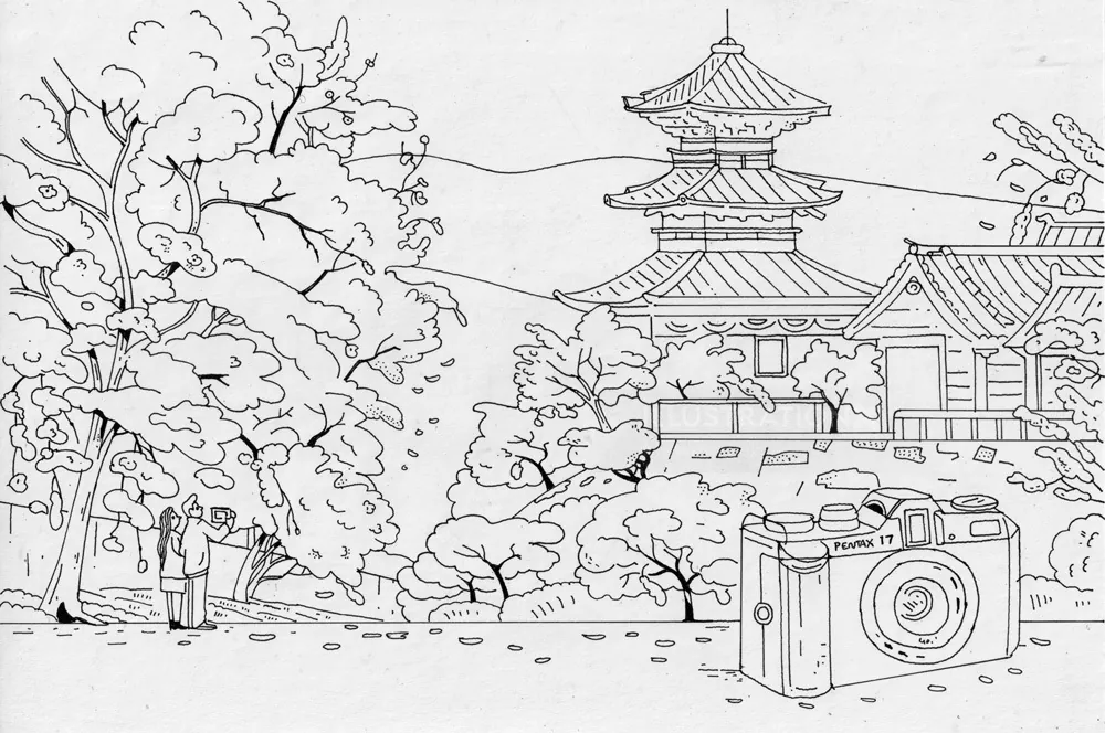 Line drawing of cherry blossoms and traditional Tokyo temple with camera