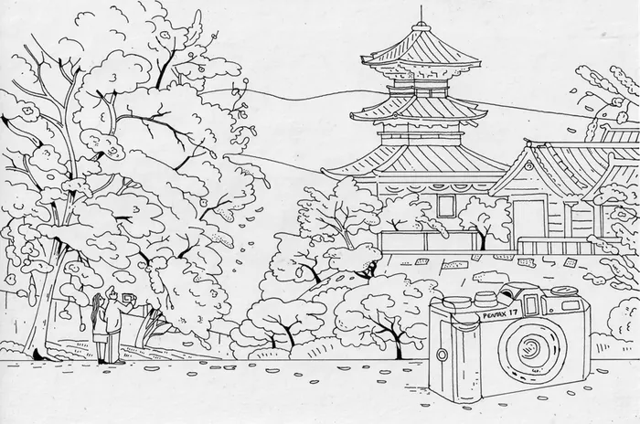Line drawing of cherry blossoms and traditional Tokyo temple with camera