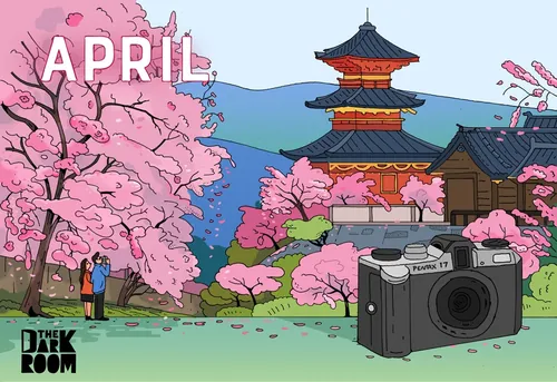 Cherry blossoms and pagoda with camera in foreground by Maxim Usik