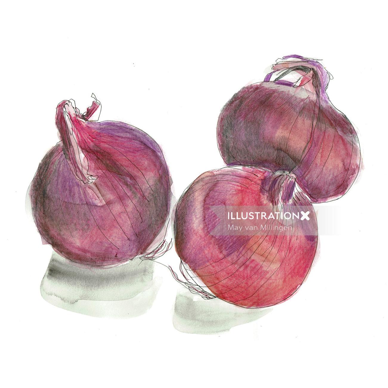 Food Red Onions
