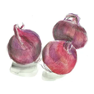 Food Red Onions
