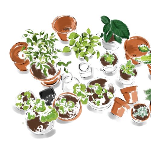 May van Millingen Line & Lifestyle illustrator