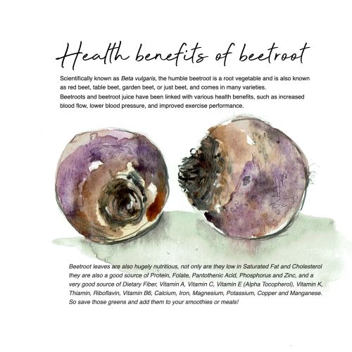 Watercolor illustration of two whole beetroots with detailed texture