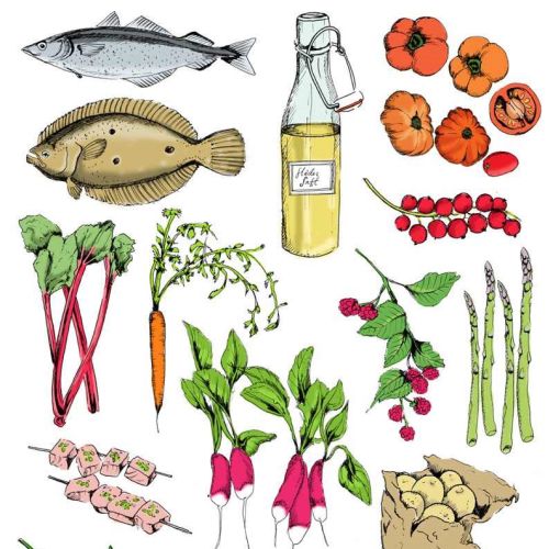 Food illustration by May van Millingen