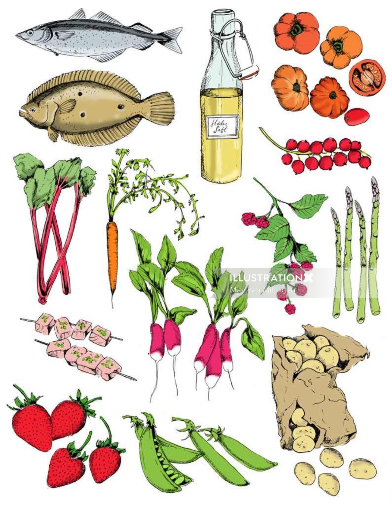 メイ・ヴァン・ミリンゲンによる食べ物のイラスト