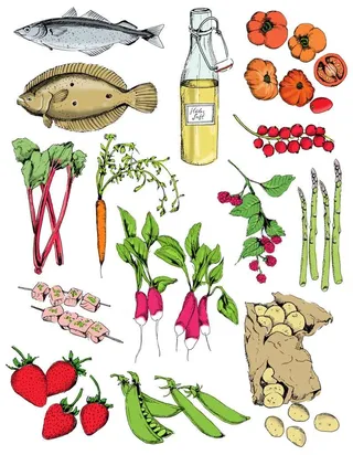 Food illustration by May van Millingen