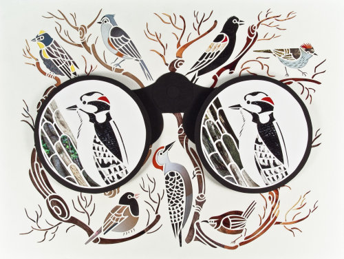 Paper art of binocular birds