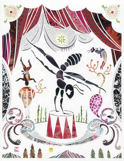 Graphic animal circus