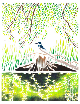 Esboço da vida selvagem do Belted Kingfisher