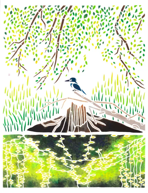 Wildlife sketch of the Belted Kingfisher