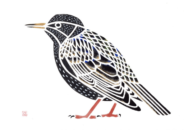 Black and white illustration of a European starling