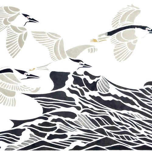 Flying Black-crowned Night Herons illustration