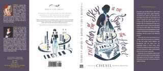 Cover for the "The Color of the Sky Is the Shape of the Heart" novel
