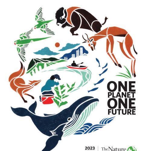 Mayuko Fujino Paper nature artist. New York