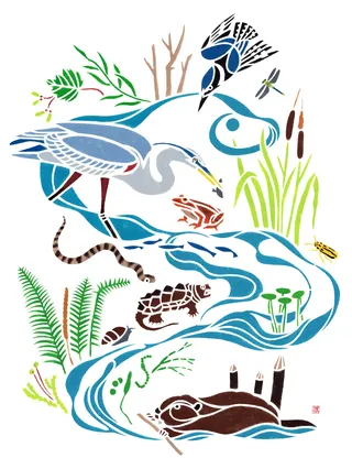 Stencil illustration of pond ecosystem with heron, frog, snake, and plants