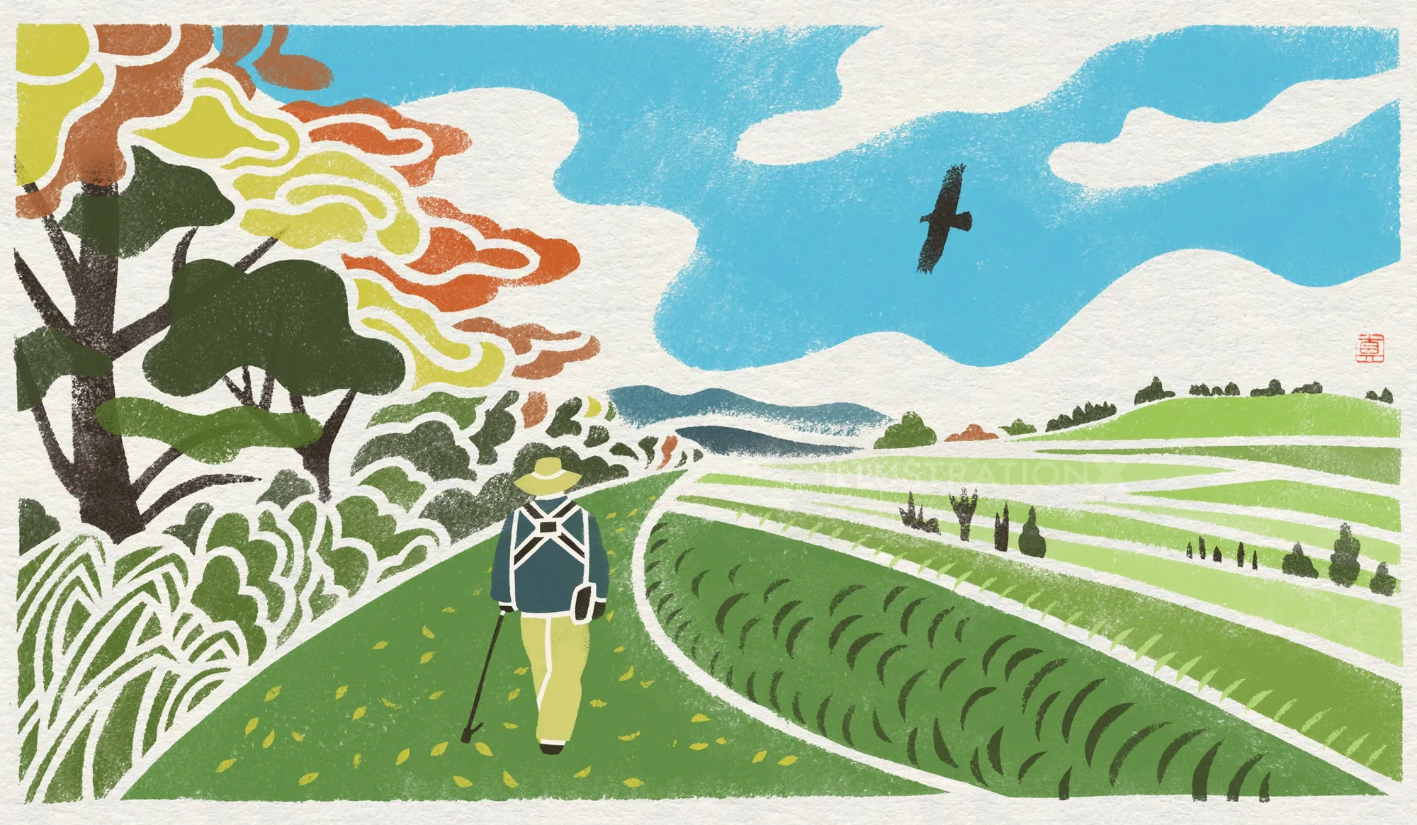 Birder walking through green fields under blue sky with birds flying