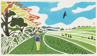 Birder walking through green fields under blue sky with birds flying