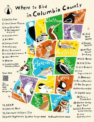 Colorful hand-drawn map showing birding spots in Columbia County, NY