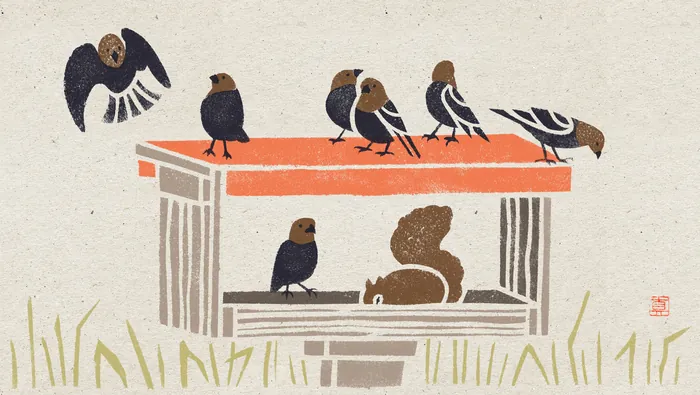 Stencil illustration of birds gathered on and around a bird feeder