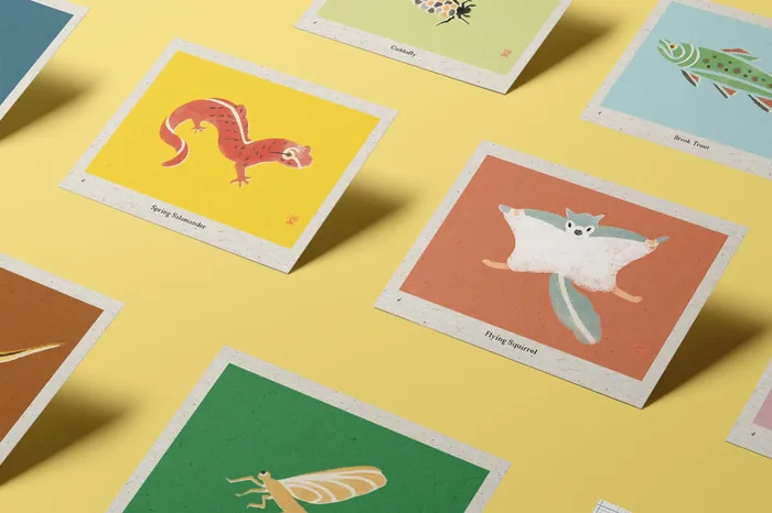 Illustrated animal postcards laid out on a yellow surface