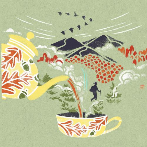 Autumn leaves pour from a teapot into a cup in nature scene