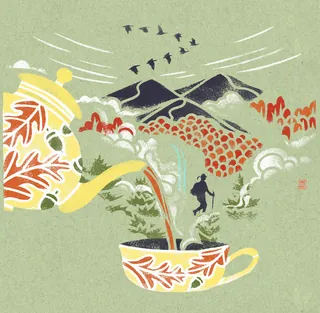 Autumn leaves pour from a teapot into a cup in nature scene