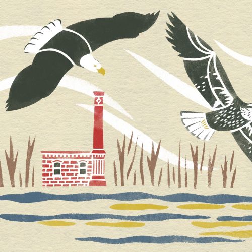 Mayuko Fujino Animaux Illustrator from United States