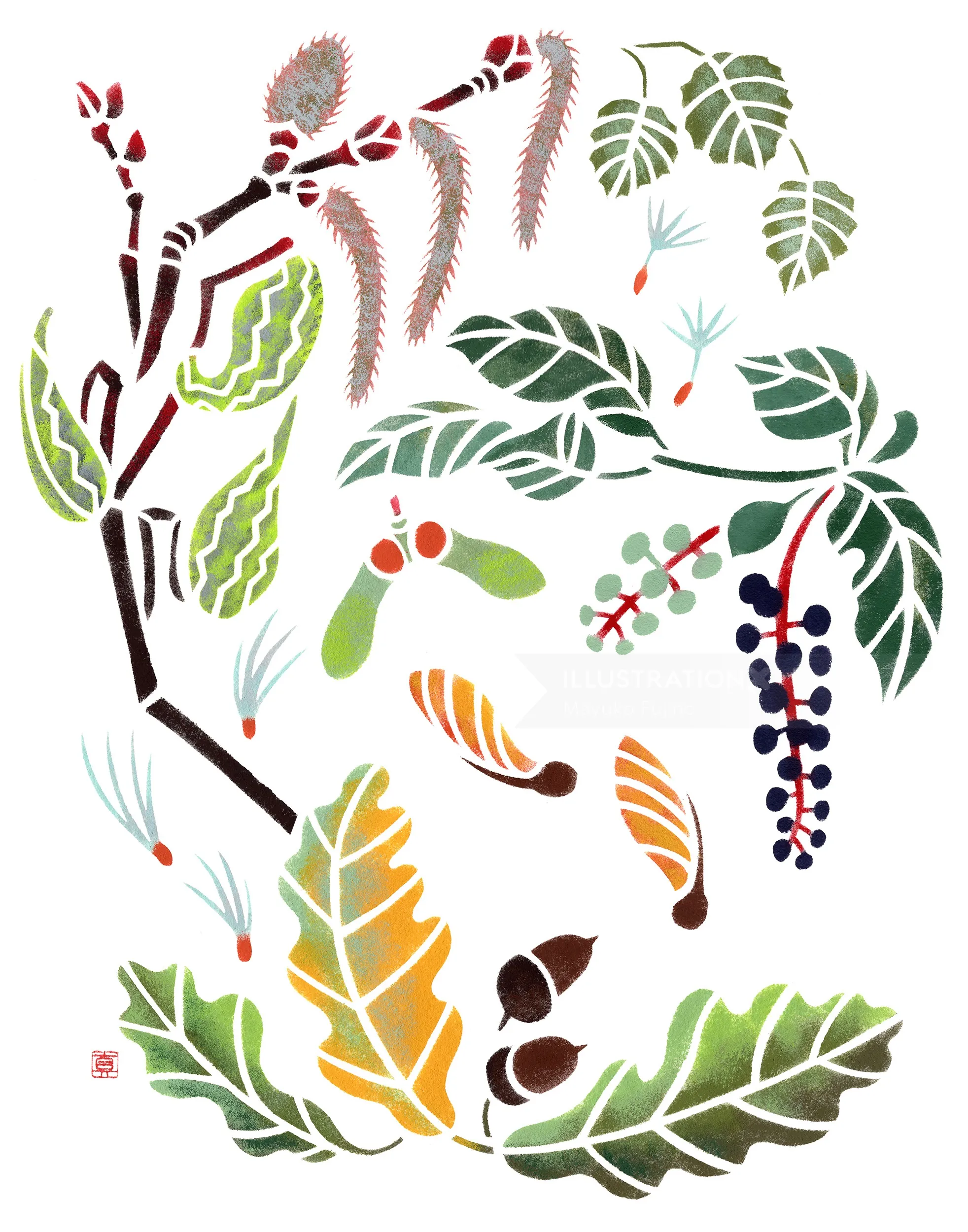 Hand-cut stencil illustrations of plants from Fox Sparrow habitat