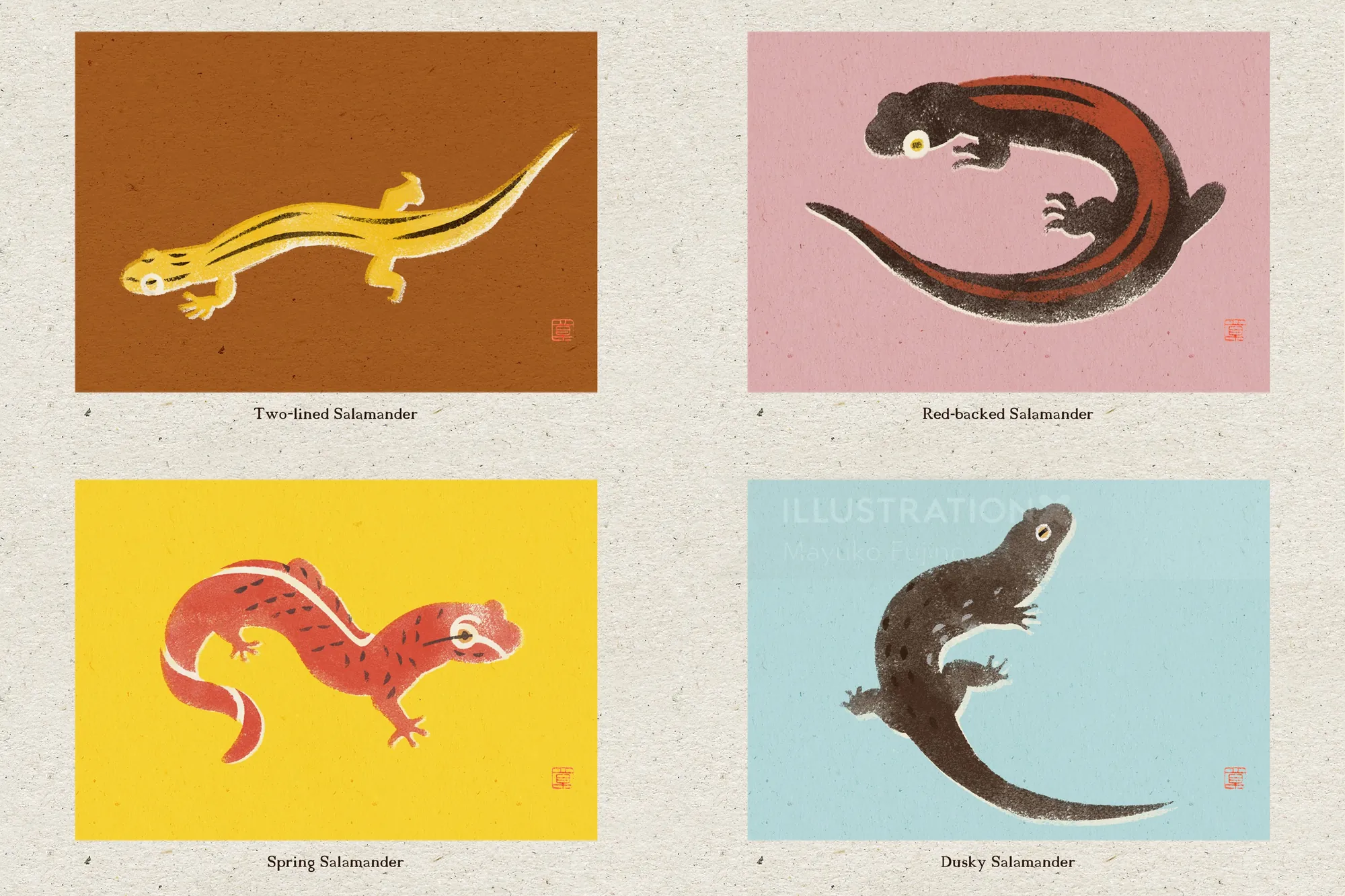 Hand-cut stencil illustration of four distinct salamanders by Mayuko Fujino