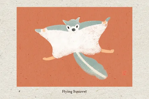 Flying squirrel in mid-glide, hand-cut stencil by Mayuko Fujino