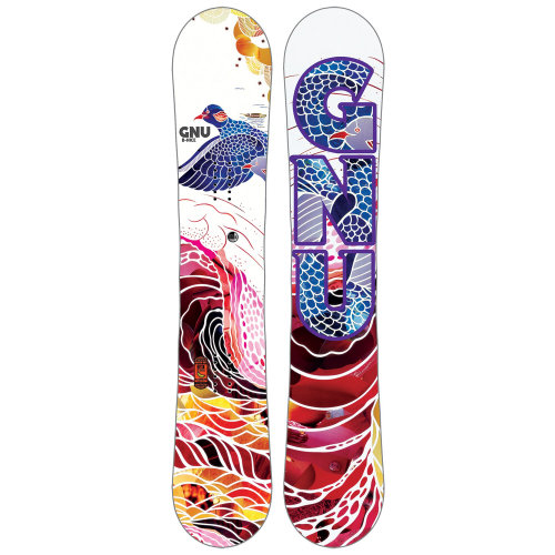 Illustration for Women's snowboard winter