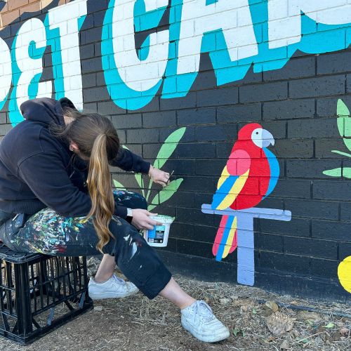 Megan Designs Street Art & Mural