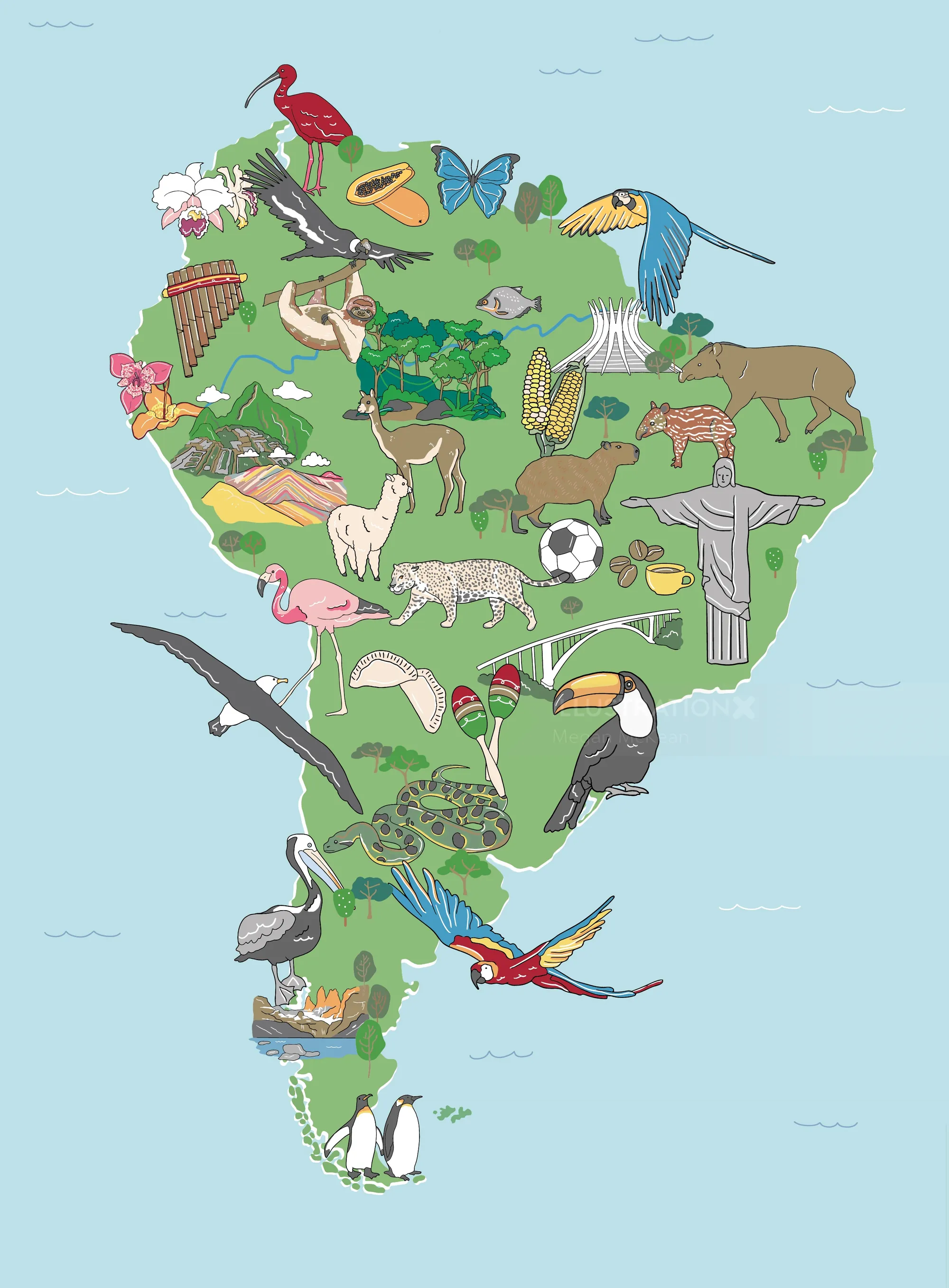 Wildlife map featuring animals across South American regions