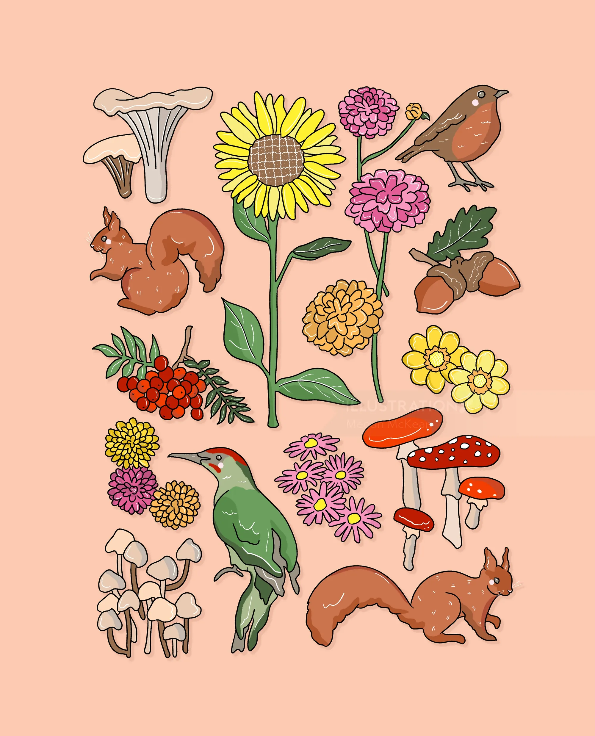 Stylised seasonal icons representing autumn nature