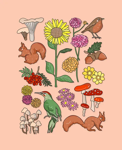 Stylised seasonal icons representing autumn nature