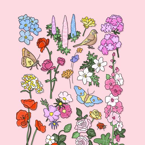 Colourful summer nature illustration with floral garden