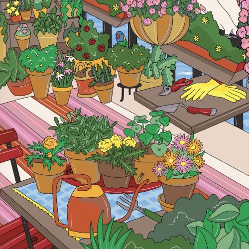 Cozy balcony with plants and sunlight