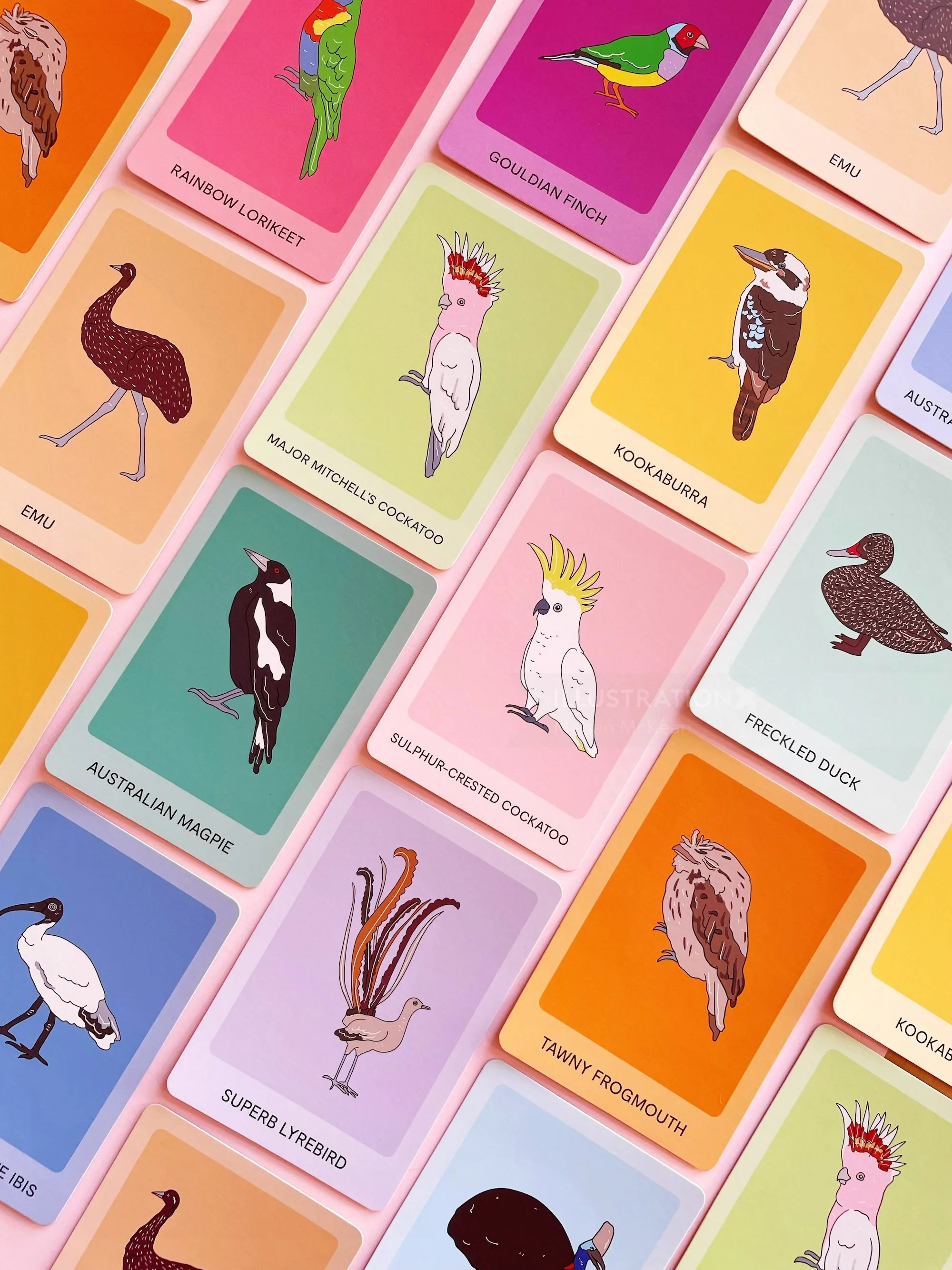 Quack Flap Snap card game illustration