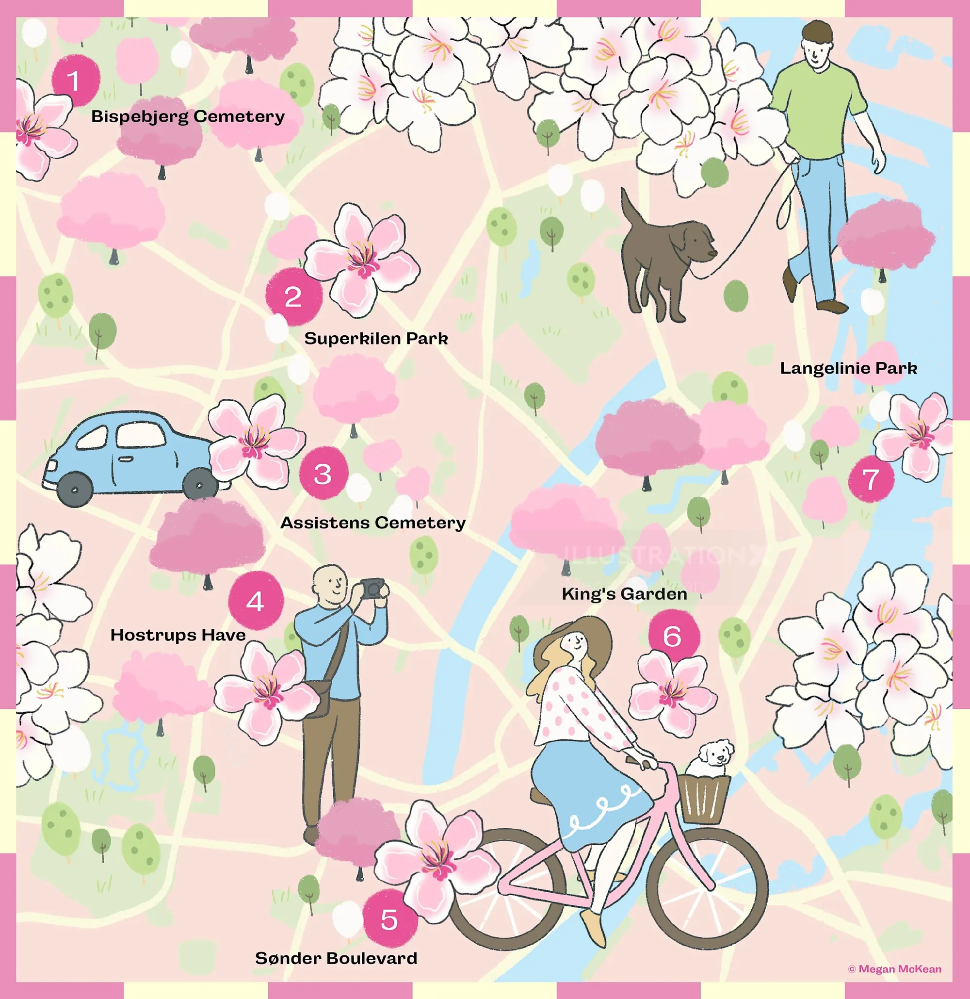 Illustrated cherry blossom map of Copenhagen 2026