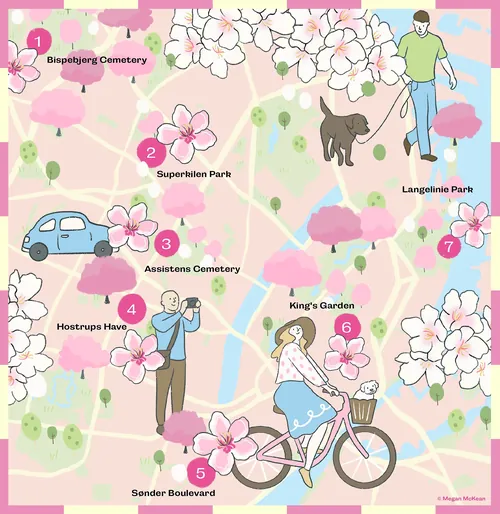 Illustrated cherry blossom map of Copenhagen 2026